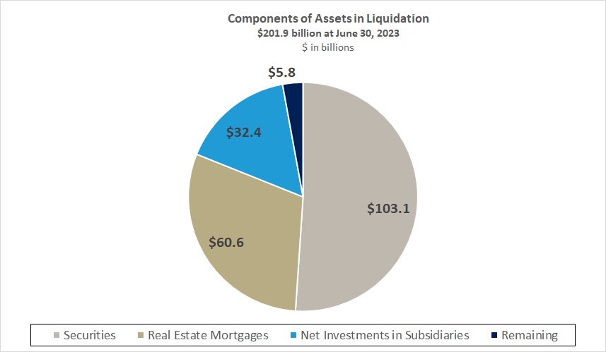 Components of Assets in Liquidation