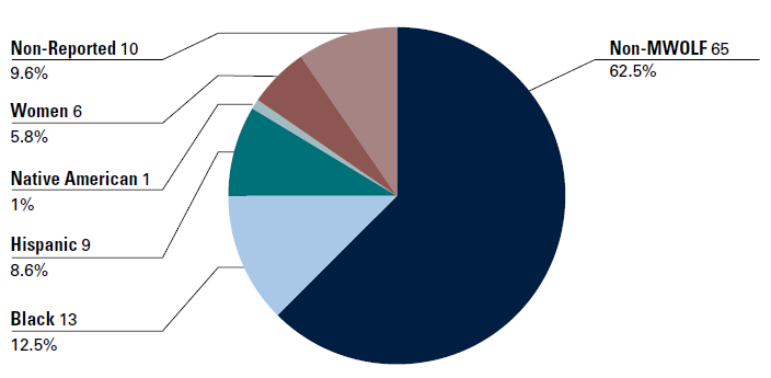 Pie chart divided in six parts: Non-MWOLF 65, 62.5%; Black 13, 12.5%; Hispanic 9, 8.6%; Native American 1, 1%; Women 6, 5.8%; Non-Reported 10, 9.6%