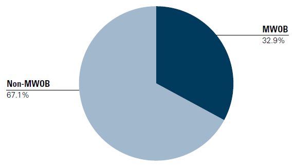 Pie chart divided in two parts: MWOB 32.9%; Non-MWOB 67.1%