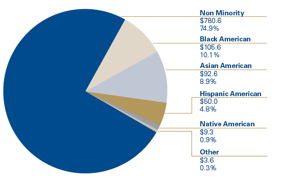 Pie chart shows Non Minority: $780.6 (74.9%); Black American: $105.6 (10.1%); Asian American: $92.6 (8.9%); Hispanic American: $50.0 (4.8%); Native American: $9.3 (0.9%); Other: $3.6 (0.3%)