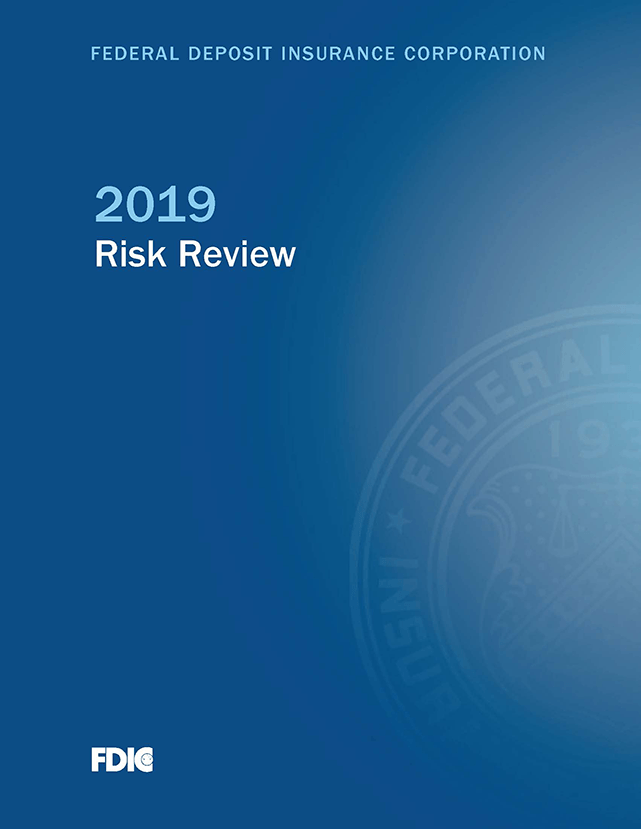 2019 Risk Review cover