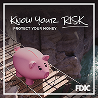 Know Your Risk. Protect Your Money - Pig Carmen Cents on a bridge