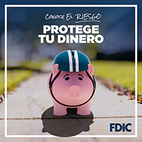 Know Your Risk. Protect Your Money - Pig Carmen Cents wearing a helmet
