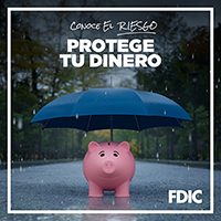Know Your Risk. Protect Your Money - Pig Carmen Cents with an umbrella