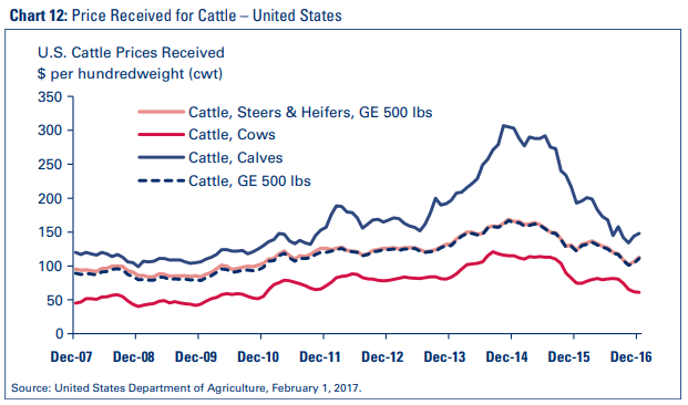 Chart 12: Price Received for Cattle – United States
