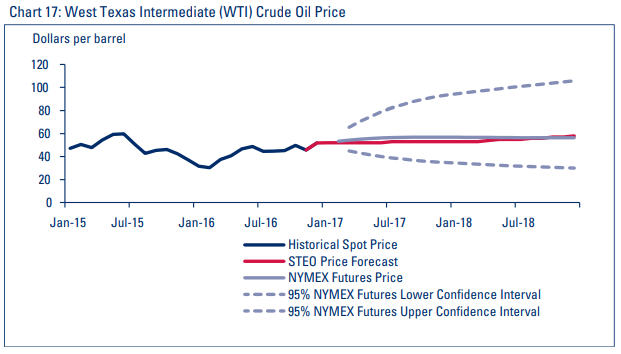 Chart 17: West Texas Intermediate (WTI) Crude Oil Price