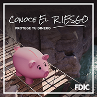 Know Your Risk. Protect Your Money - Pig Carmen Cents on a bridge